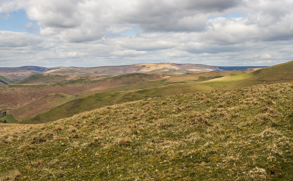 Windy Gyle Windy Gyle